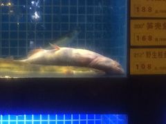 西苑湘湖大院(湘湖大院茶馆)-湘湖大院(越王路店)
