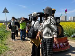 -光明小镇欢乐田园