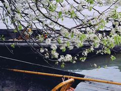 -东钱湖旅游度假区