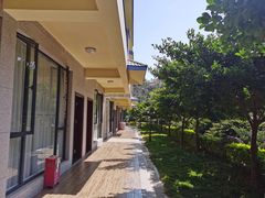 -那琴半岛地质海洋公园