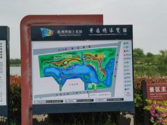 -杭州湾海上花田景区