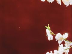 -雍和宫