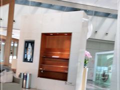 -虹桥机场国航贵宾室v8