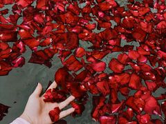 -天目湖涵田半山温泉