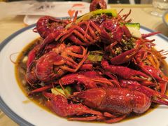 -杨氏青龙虾·羊蝎子(珠江路店)