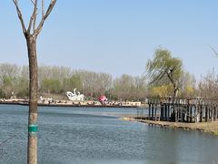 -东郊湿地公园