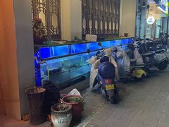 -同福小馆(北摆宴街店)