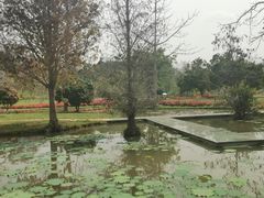 -中国科学院西双版纳热带植物园