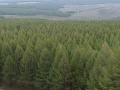 -塞罕坝国家级自然保护区