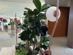 -科学家咖啡(海岸城店)