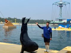 -秦皇岛乐岛海洋王国