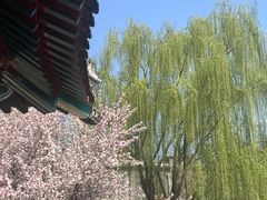 -莲池书院博物馆