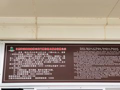 -日照海滨国家森林公园