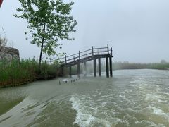 -泗洪洪泽湖湿地景区
