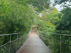 -敬亭山风景名胜区