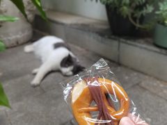 -杭州西湖银泰百货