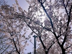 -大连植物园