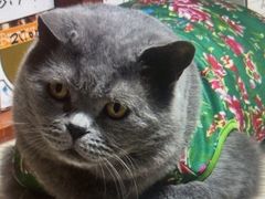 -艾贝尔宠物医院·狂犬免疫点(江山金象城店)