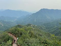 -大岭沟猕猴桃谷风景区