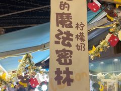 -猫的魔法密林(衣裳街店)