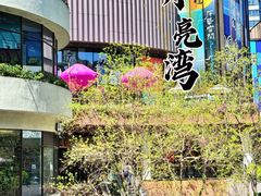 -瑞虹新天地月亮湾