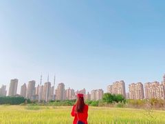 -花溪公园