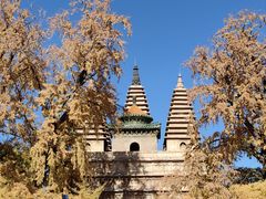 -北京石刻艺术博物馆(五塔寺)