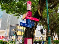 -九龙公园
