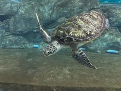 -福州罗源湾海洋世界旅游区