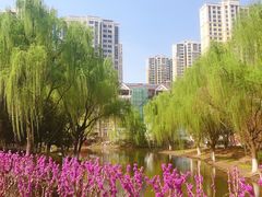 -白塘生态植物园