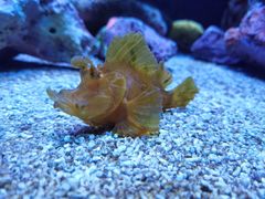 -上海海洋水族馆