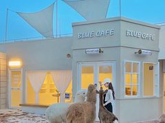 -Blue Concept Cafe&Farm·關於藍