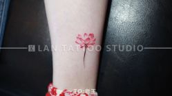 -见雾TATTOO STUDIO