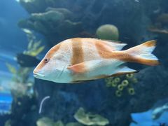 -福州罗源湾海洋世界旅游区