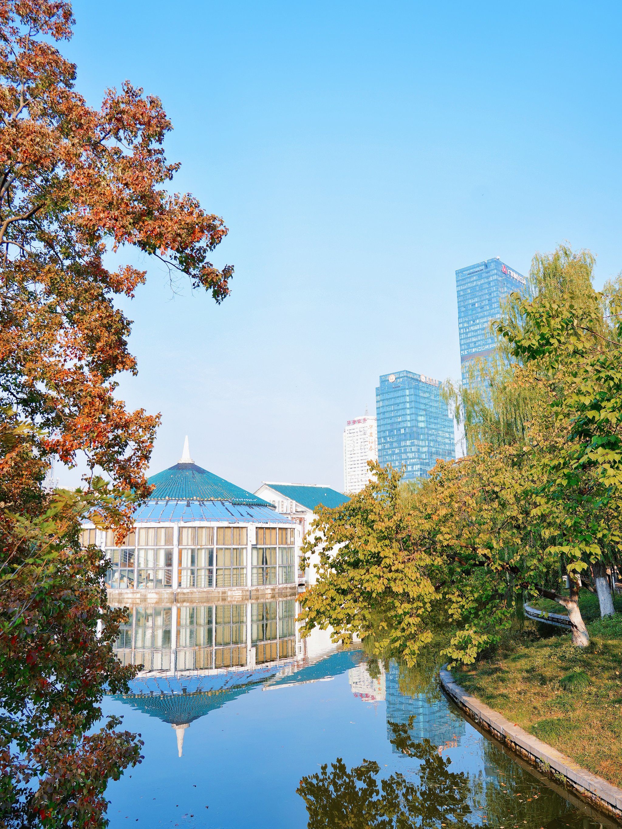 合肥杏花公园•地铁直达的老牌赏秋公园