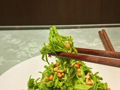 -鲁菜根·泰山菜(泰山店)