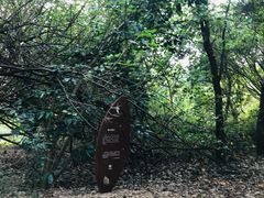 -华侨城湿地公园