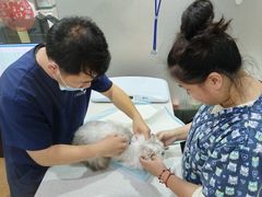 -思琪宠物医院(昆山花桥店)