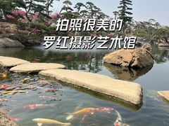 -罗红摄影艺术馆