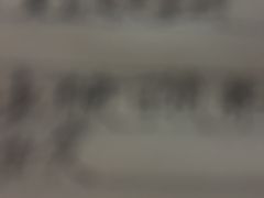 -大商麦凯乐(大连总店)