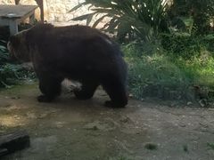 -昆明动物园