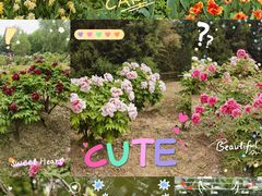 -国家植物园