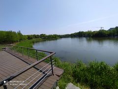 -尚贤河湿地