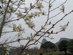 -南溪山景区
