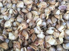 -浪琴湾尾角仔海鲜坊