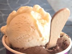 -Dooley's Premium Ice Cream