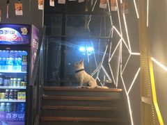 -赛卡联盟WSK卡丁车俱乐部
