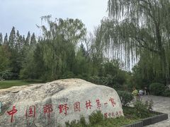 -习家池