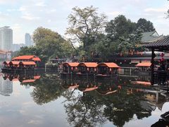 -侨美·唐荔园·40年地道粤菜