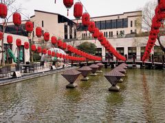 -上海崇明金茂凯悦酒店